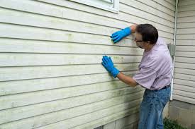 Best Siding Removal and Disposal  in Du Quoin, IL